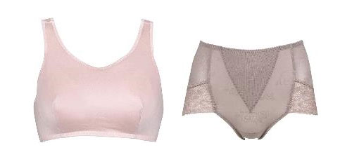 図11.ファンデーションの例(ブラジャーとガードル)