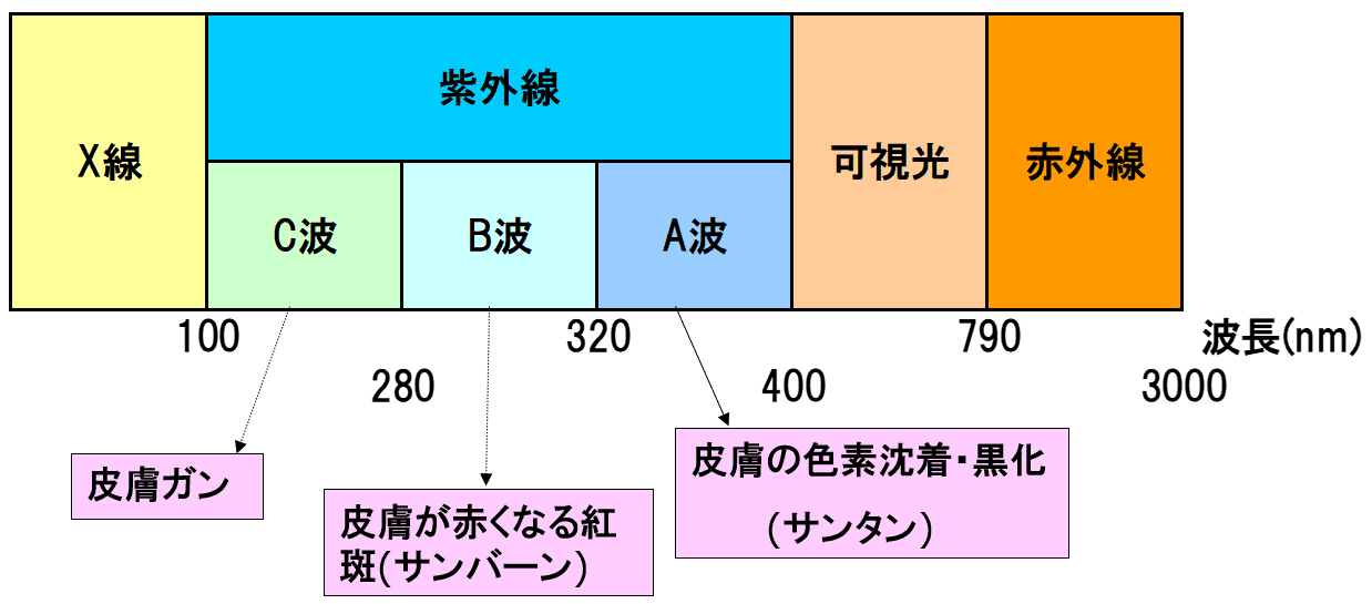 図11.紫外線の波長について