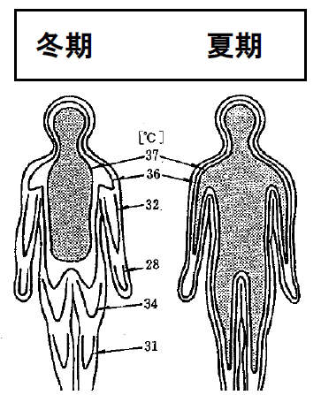 季節や部位による体温の違い