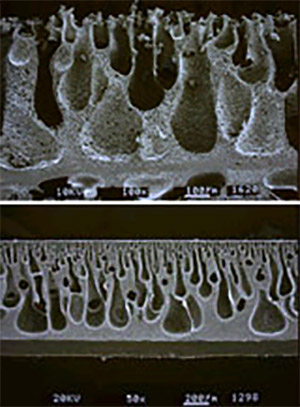 図3.ポリウレタンコーティングの断面の一例(微多孔によって透湿性が実現)