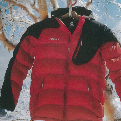 図1.代表的なダウンジャケット