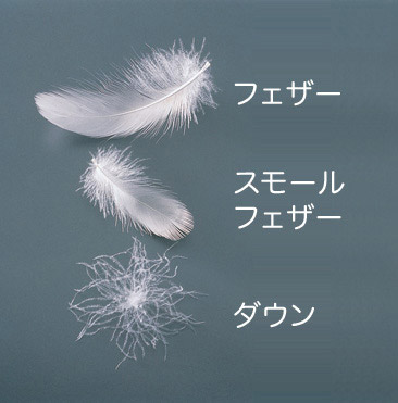 図4.フェザーとダウン