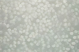 合成繊維の断面