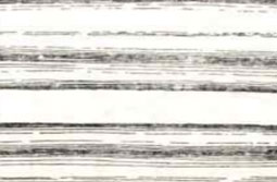 アセテートの側面