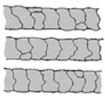正常な状態のウール