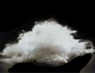 図1.綿繊維(短繊維)