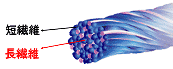 図14.複合糸のイメージ