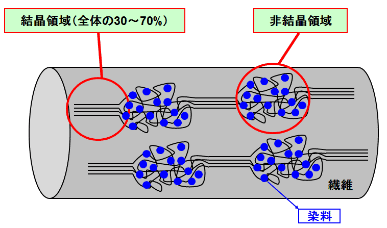 図5.繊維と染着の原理