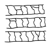 羊毛の収縮 乾燥状態