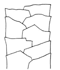 図2　ウール繊維外観の例