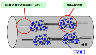 図4　繊維の染色のイメージ