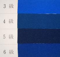 図7 ブルースケール(3級～6級)