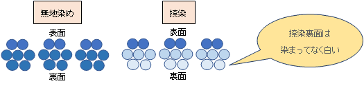 図5　無地染めとスクリーン捺染の染料浸透性のイメージ