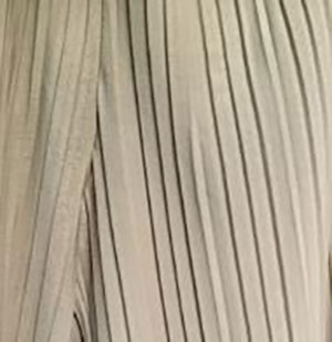 図7　プリーツの外観例