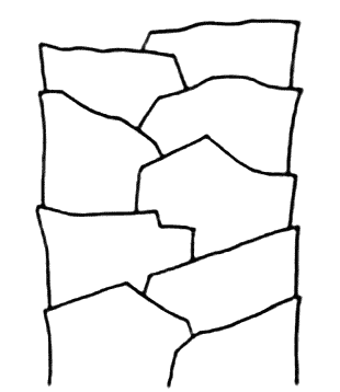 図2　ウール繊維の外観