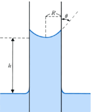 図5　毛細管現象のイメージ