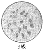 JIS L 1092スプレー法の判定写真3級