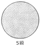 JIS L 1092スプレー法の判定写真5級