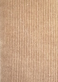 図1. コーデュロイ外観例